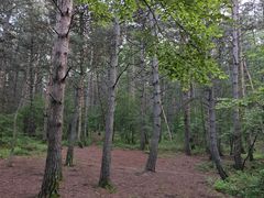 -帽儿山国家森林公园