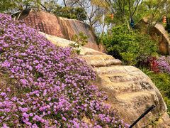 -乌山风景区