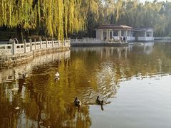 -丰台花园