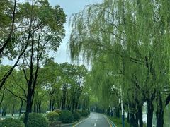 -溱湖国家湿地公园