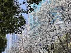 -中海财富中心