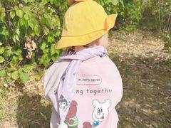 -呼兰河口湿地公园