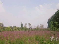 -贵阳市花溪国家城市湿地公园