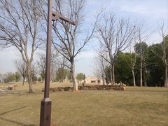 -盘龙城国家考古遗址公园