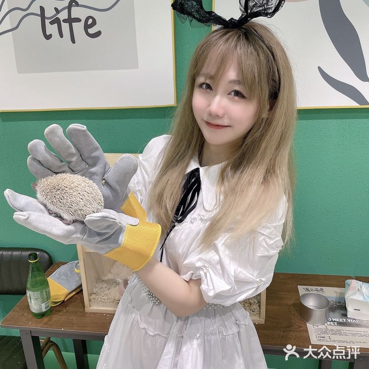 可以撸雪貂的店💘|遇见萌宠2.0