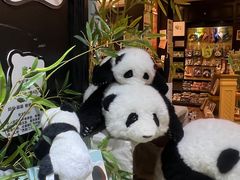 -轩客会(熊猫书店)