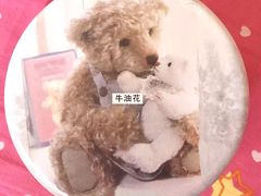 -珍妮曲奇聪明小熊(尖沙咀店)