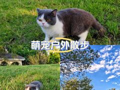 -火炉山森林公园