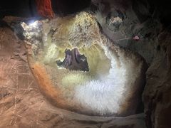 -湖南省地质博物馆