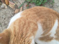 -华东政法大学(松江校区)