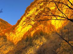 -少华山国家森林公园