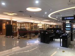 -知音艺术教育培训·钢琴培训·音乐培训(河西金鹰世界校区)