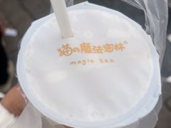 -猫的魔法密林(衣裳街店)