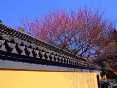 -慧因高丽寺