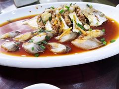 -红灯笼龙凤饭店(宁波老字号店)