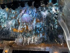 -玺尊龙·云岭四季(西南店)