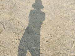 -瑶湖郊野森林公园