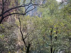 -龙庆峡风景区
