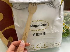 -哈根达斯(石家庄北国店)