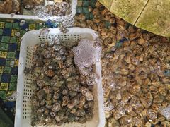-202特色排档(五缘湾店)