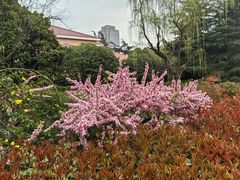 -上海虹桥迎宾馆
