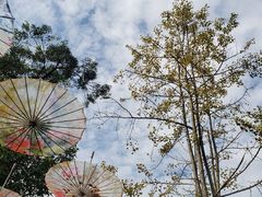 -安仁古镇
