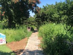 -北京西山国家森林公园