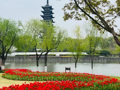 -上海方塔园