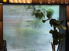 -MEDISN·药厂