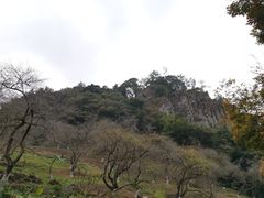 石门香雪-广州市石门国家森林公园