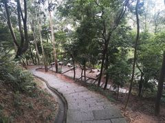 -火炉山森林公园