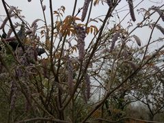 -祥源·阜阳生态乐园