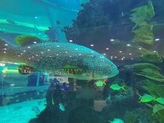 -鸿通城购物中心