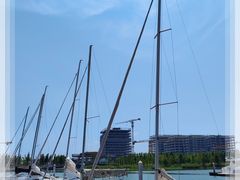 -滴水湖帆船营地