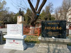 -文瀛公园