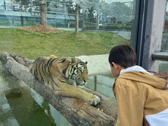 -西霞口神雕山野生动物世界