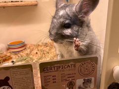 -龙猫仔乐园(惠福东路店)