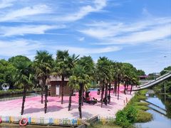 -苏州太湖西山岛开心农场