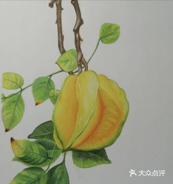 来来来看看是你的杨桃吗