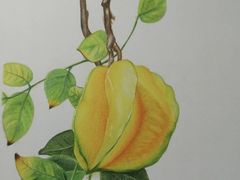 -八哥美术·成人美术画室(总校区)