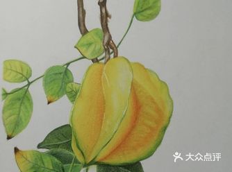 来来来看看是你的杨桃吗