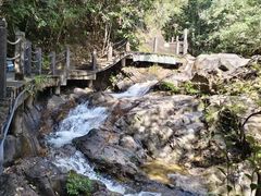 -九龙江国家森林公园