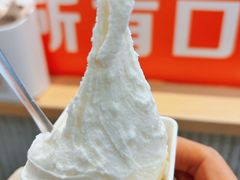 -野人先生现做冰淇淋(西安赛格店)