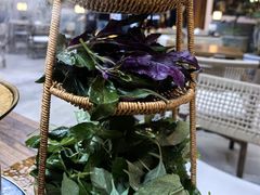 -华冠悠岚·庭院餐厅(青城后山店)