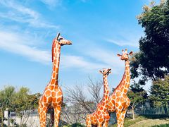 -奉浦四季生态园