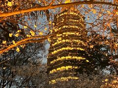 -红梅公园