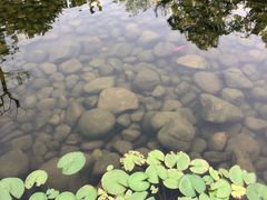 -龙山酒店温泉