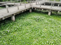 -宝界山林公园