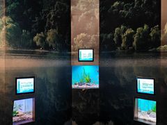 -合肥海洋世界