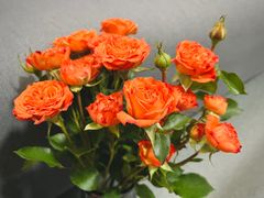 -酷麦私人订制KTV